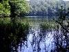 Picture 28 - Lake Morske Oko in Vihorlat